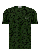 Load image into Gallery viewer, Bamboo Forest